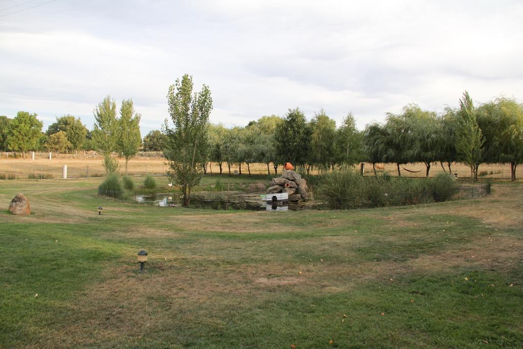 O Pelicano Bed and Breakfast Alfaiates Buitenkant foto